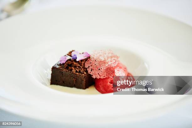 dessert of chocolate torte and organic raspberry sorbet - raspberry sorbet stock pictures, royalty-free photos & images