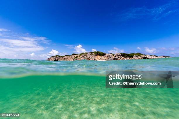 under water caribbean sea, ocean from st martin, st maarten - guadeloupe beach stockfoto's en -beelden