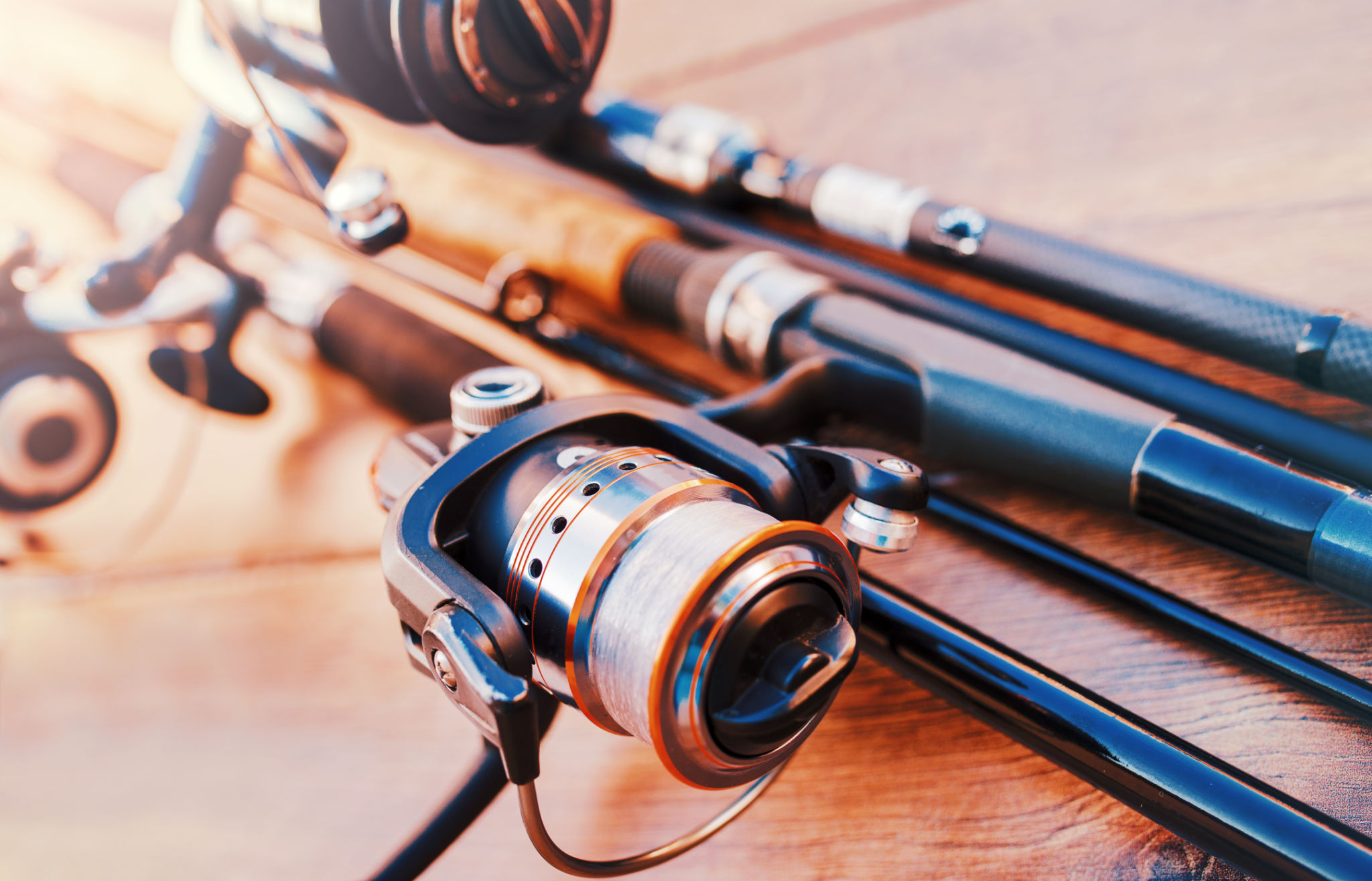 fishing rods reels