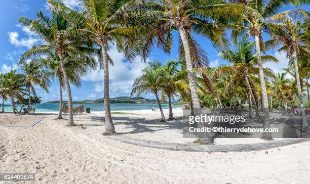 beautiful caribbean beaches from saint martin, sint maarten caribbean - guadeloupe beach stockfoto's en -beelden