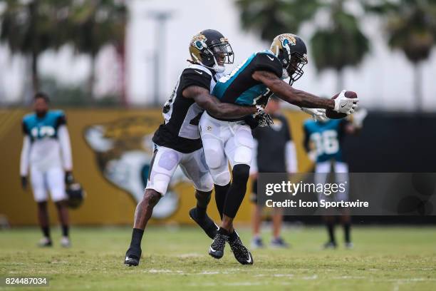 Jacksonville Jaguars wide receiver Jamal Robinson catches a pass over Jacksonville Jaguars cornerback Josh Johnson during the Jaguars training camp...