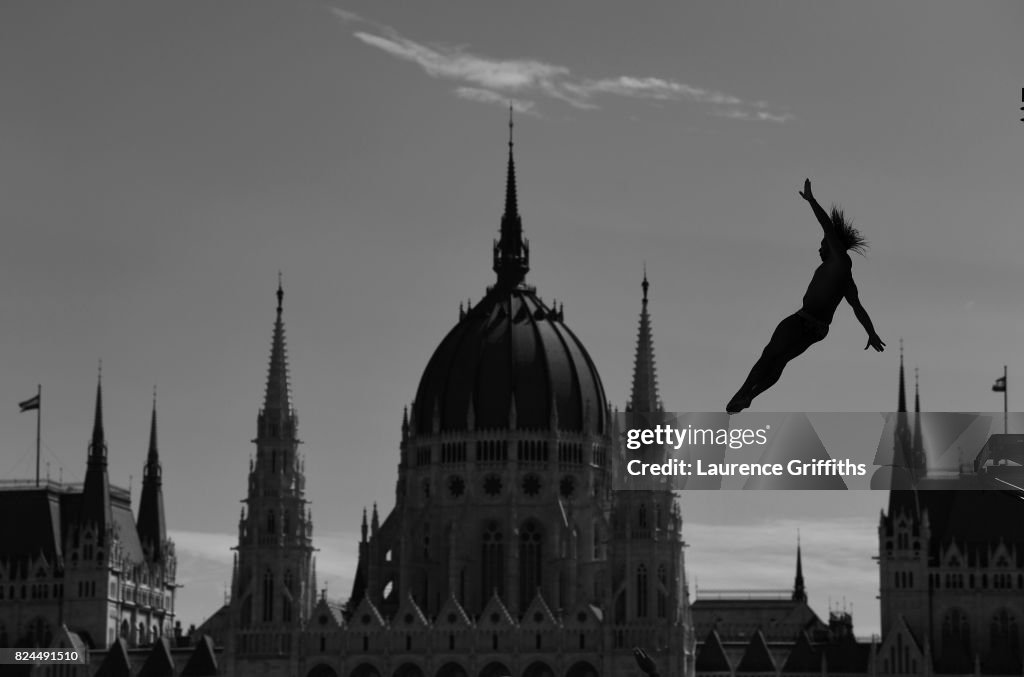 Budapest 2017 FINA World Championship - Day 17