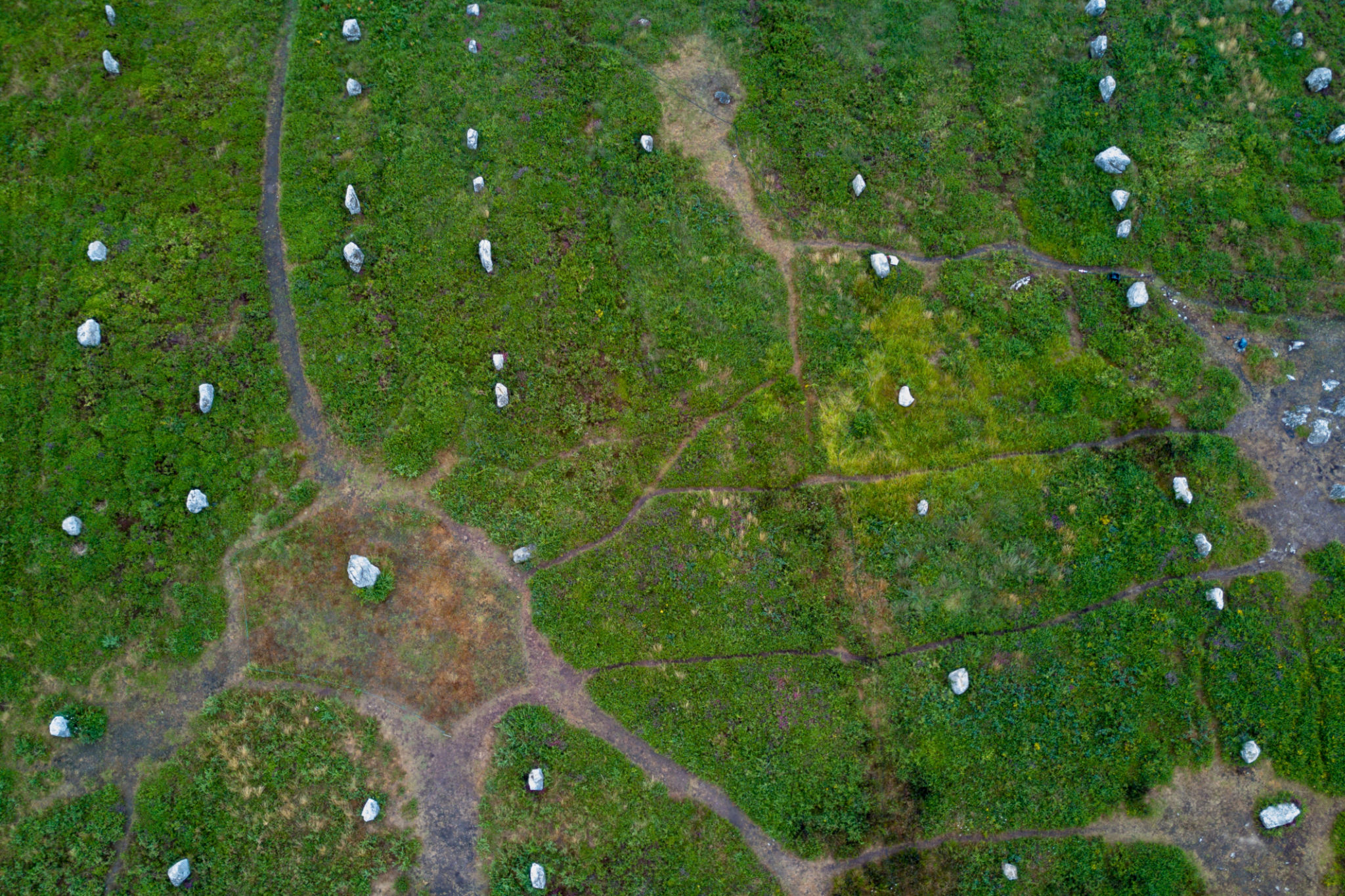 carnac stones