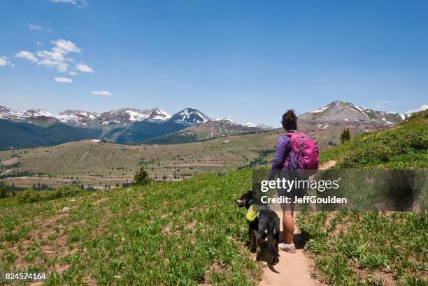 young woman hiker on the colorado trail with her dog - continental divide stock pictures, royalty-free photos & images