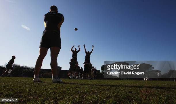 The Wallabies practice lineouts during the Australian Wallabies training session held at Bishops School on August 19, 2008 in Cape Town, South Africa.