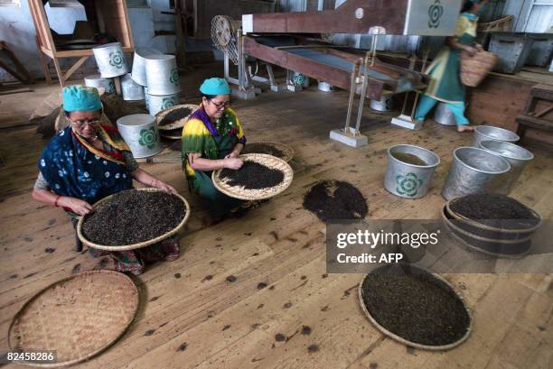 India-commodities-tea-tourism' by Parul Gupta Indian tea garden women labourer sort tea leaves at the factory of the Makaibari plantation, some 30 km...