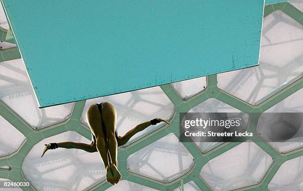 Diver practices before the Men's 3m Springboard Fiinal at the National Aquatics Center on Day 11 of the Beijing 2008 Olympic Games on August 19, 2008...