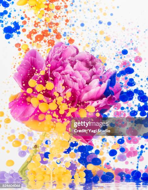 Flowe Ink Ink Bloom Photos and Premium High Res Pictures - Getty Images