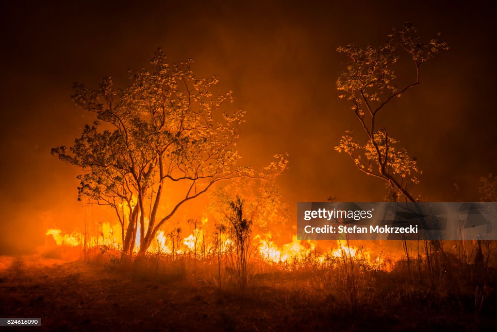 A Bushfire Or Wildfire Burning In Outback Australia