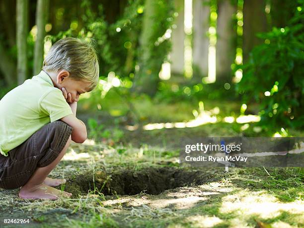 boy looking into grave of pet. - pet death stock pictures, royalty-free photos & images