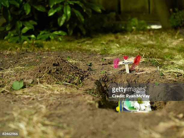 tomba del mouse per animali - tomba luogo di sepoltura foto e immagini stock
