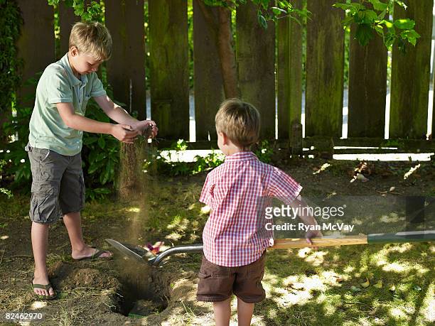 two boys burying pet in hole in backyard - burying stockfoto's en -beelden