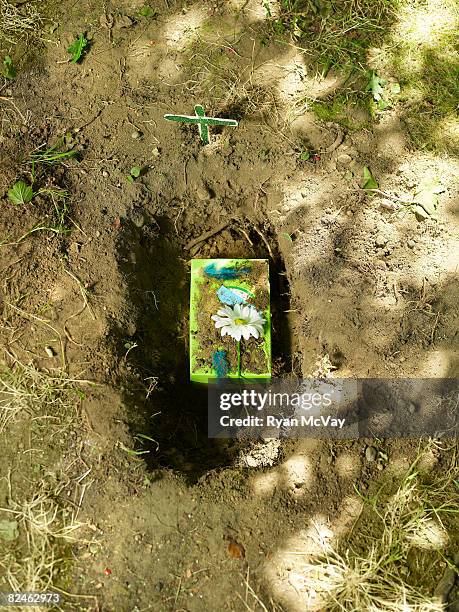 shoebox in hole in ground - shoe box stock pictures, royalty-free photos & images