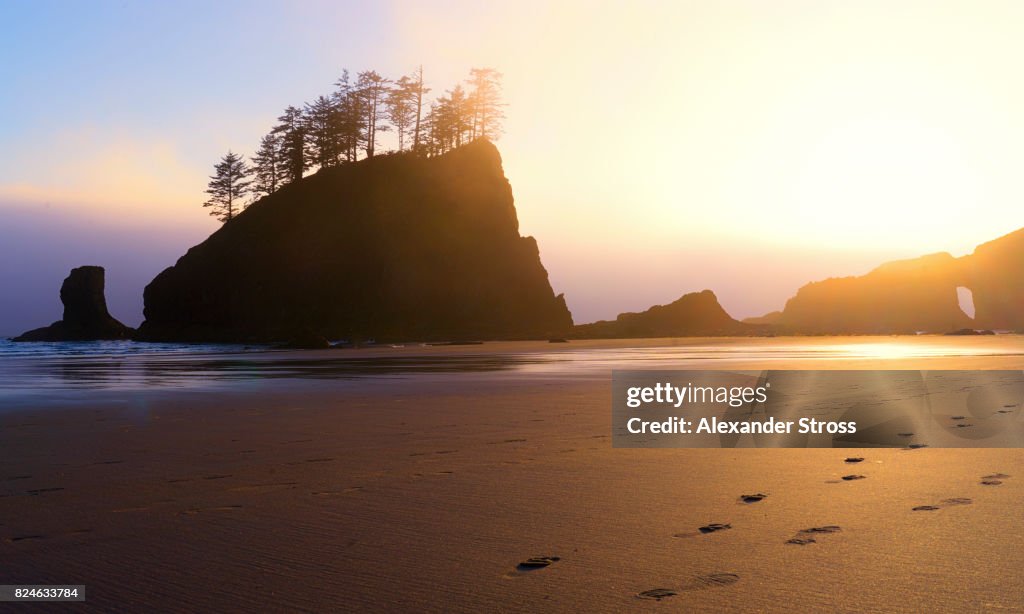 SEA STACK FOOT PRINTS