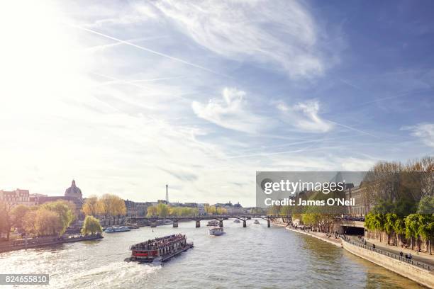 tourist ferry on the river seine, paris, france - sunny photos et images de collection