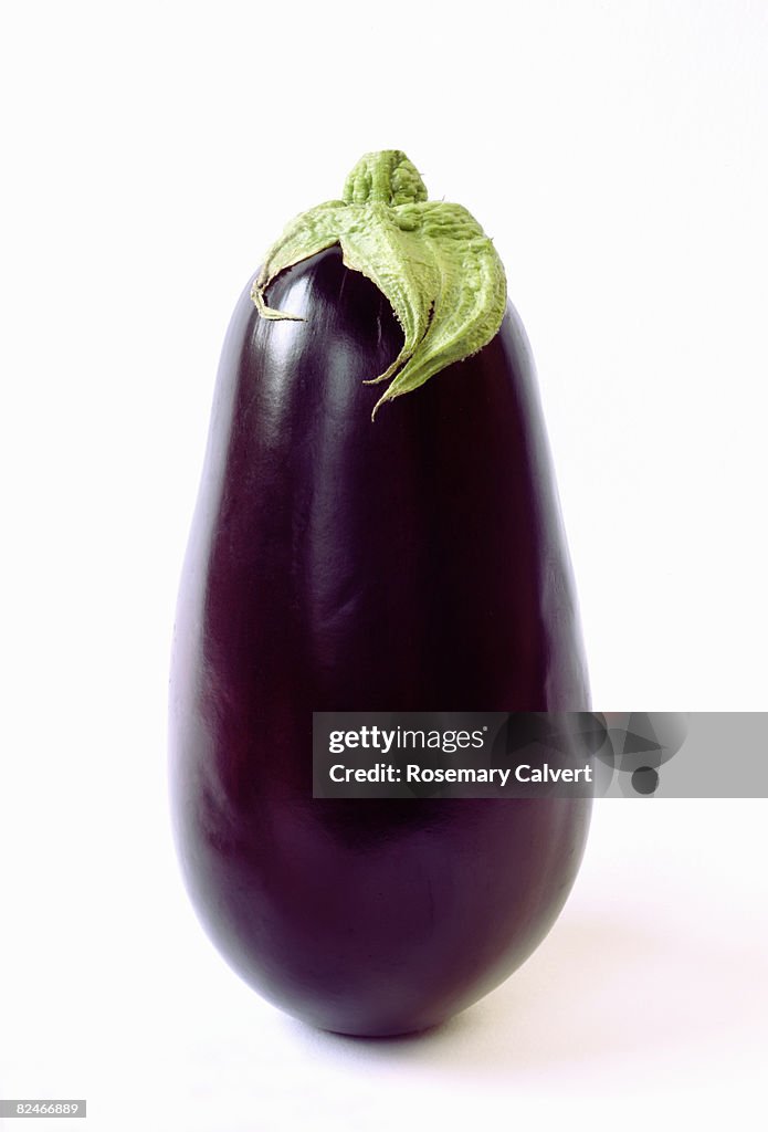 Aubergine