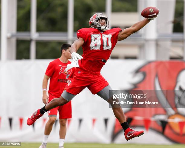 Tight End O.J. Howard of the Tampa Bay Buccaneers makes a one-handed catch during Training Camp at One Buc Place on July 30, 2017 in Tampa, Florida.