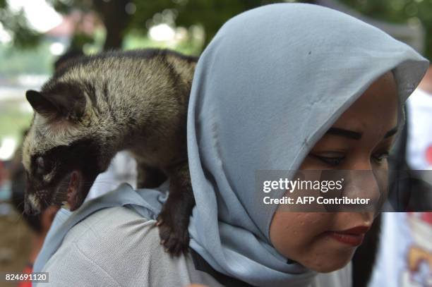 This picture taken on July 30, 2017 shows an Asian palm civet on the shoulder of its owner during a Civet Owners Club gathering in Jakarta. Asian...