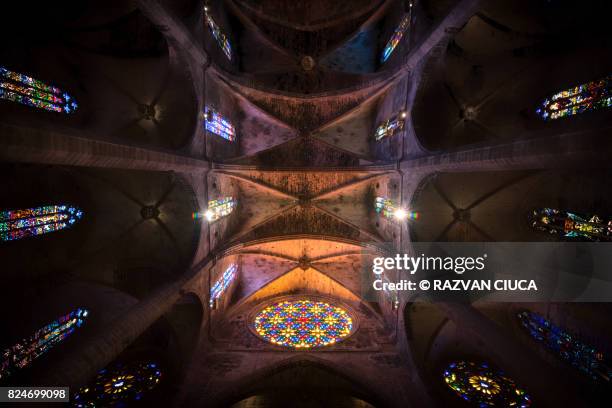 cathedral of santa maria of palma - rose window stock pictures, royalty-free photos & images