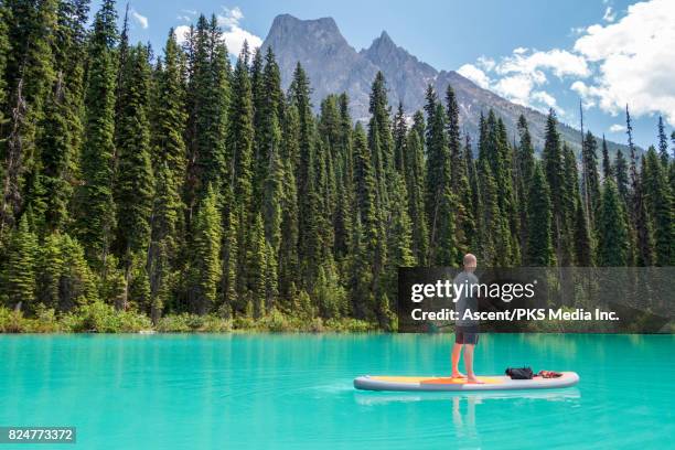 man paddleboards across mountain lake, standing up - yoho national park photos et images de collection