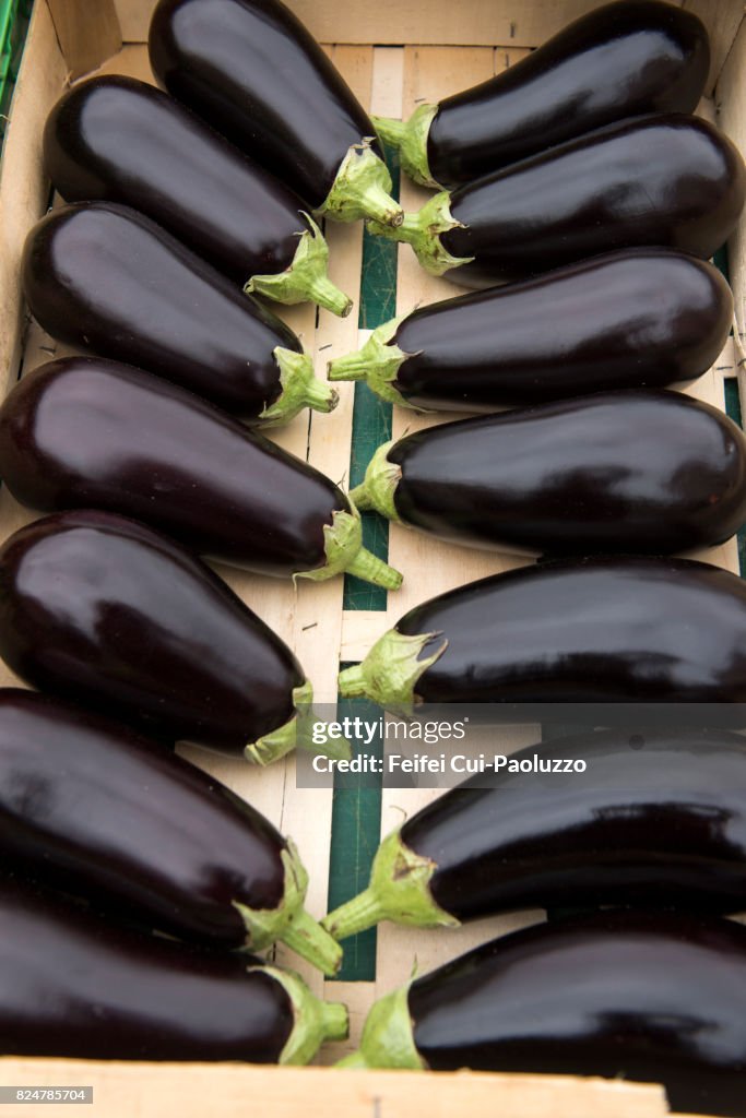 Close-up of Eggplants