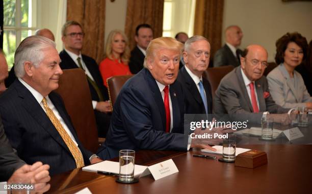 President Donald Trump makes remarks during a meeting of his cabinet, including Secretary of State Rex Tillerson, Defense Secretary James Mattis,...