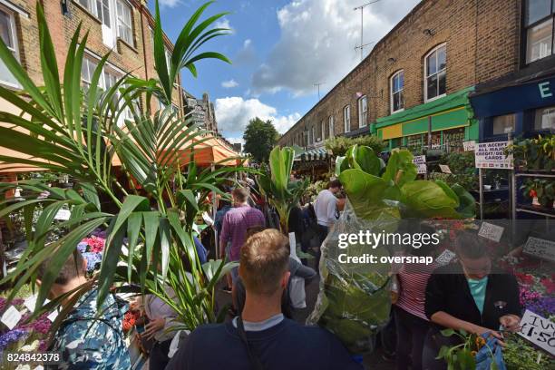 mercado de las flores carretera colombia - mercado de flores fotografías e imágenes de stock
