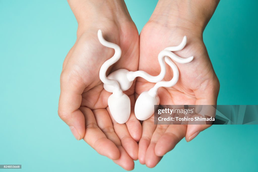 Sperm world