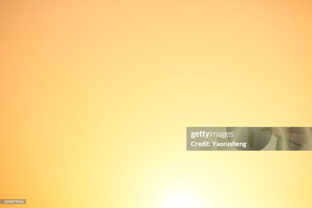 Magnificent summer sun burst with lens flare