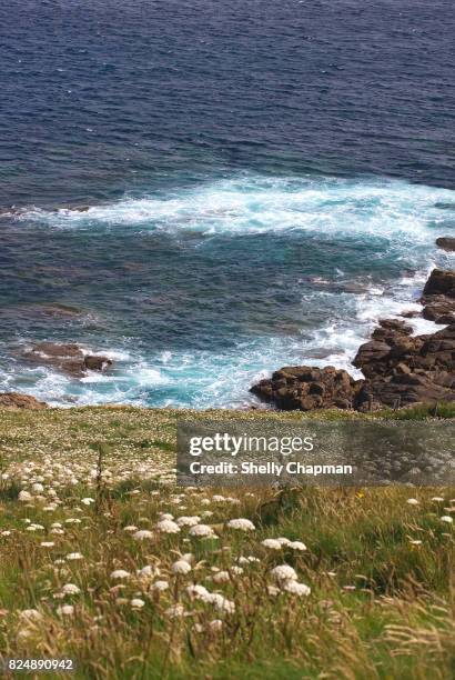 sennen cove, cornwall, england - sennen bildbanksfoton och bilder