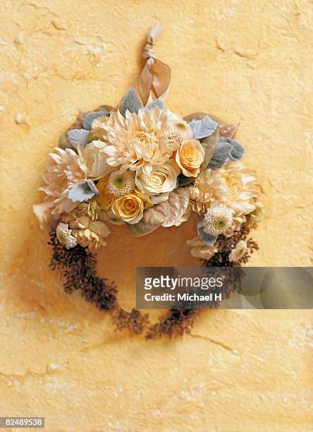 wreath on the wall - cineraria maritima stock pictures, royalty-free photos & images