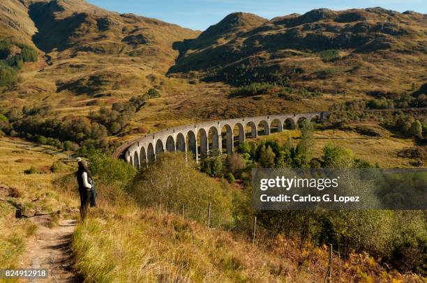 girl looking at bridge on the valley - scotland train stock pictures, royalty-free photos & images