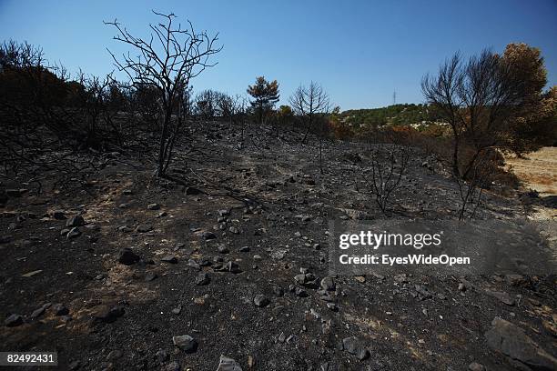 Black ashes from the bushfire, burned landscape near the village Lindos on August 08, 2008 in Rhodes, Greece. Rhodes is the largest of the greek...