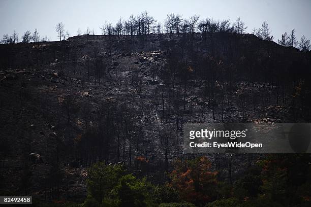 Black ashes from the bushfire, burned landscape near the village Lindos on August 08, 2008 in Rhodes, Greece. Rhodes is the largest of the greek...