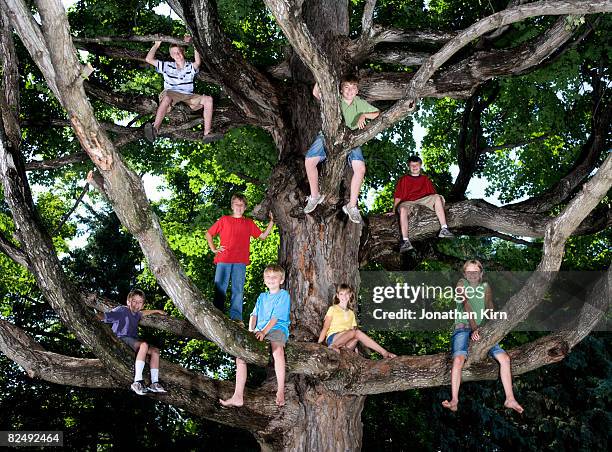 Child In Tree 27,766 Girl Sitting In Tree Stock Photos, High-Res Pictures, and Images ...