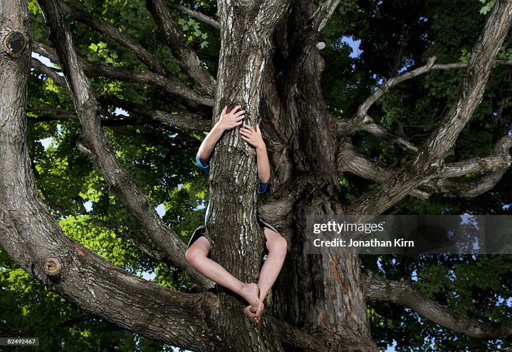 Kids in Maple Tree