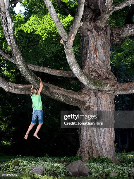 Tree Is Stuck Kids Stuck In A Tree Photos and Premium High Res Pictures - Getty Images