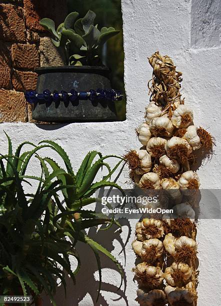 Garlic decoration in a restaurant the village Lindos on August 08, 2008 in Rhodes, Greece. Rhodes is the largest of the greek Dodecanes Islands.