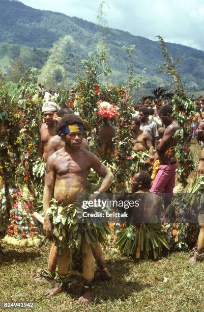 sing-sing en papua nueva guinea 1977. gente tradicionalmente vestida. - ceremonia sing sing fotografías e imágenes de stock