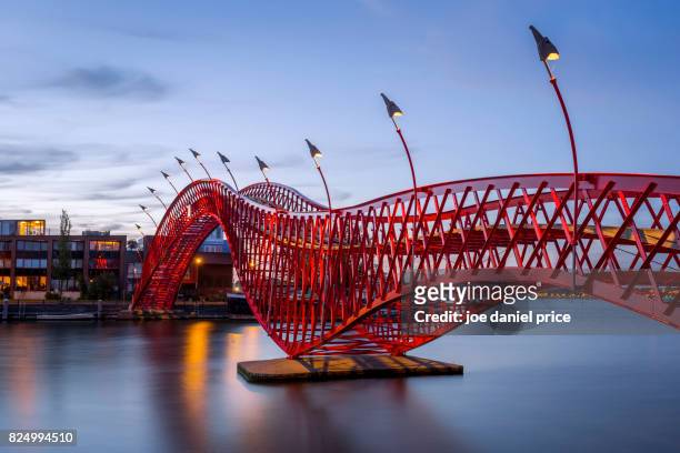 pythonbrug, amsterdam, holland - amsterdam stock pictures, royalty-free photos & images
