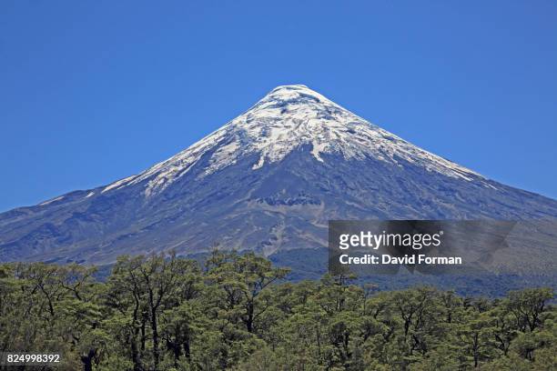 osorno volcano near llanquihue, chilean lake district. - llanquihue lake stock pictures, royalty-free photos & images