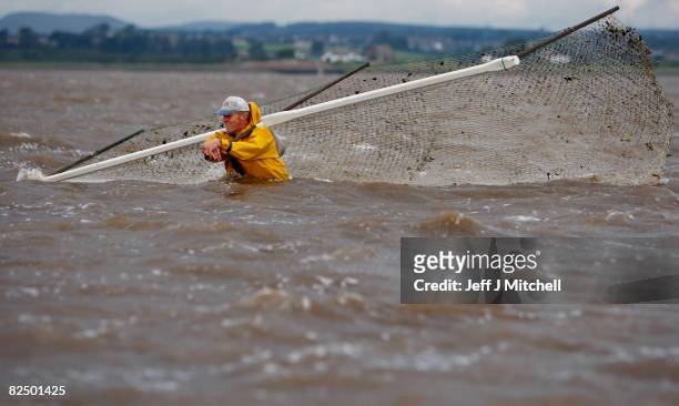 One of a group of Haaf netters fishes on the mudflats of Port Carlisle in the Solway Firth estuary on August 21, 2008 near Wigton in Cumbria,...