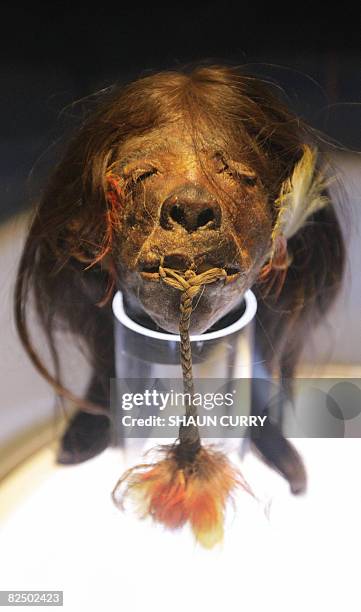 An Ecuadorian shrunken human head from the Peruvian jungle in south America is displayed at the 'Ripley's Believe It or Not' museum, in central...