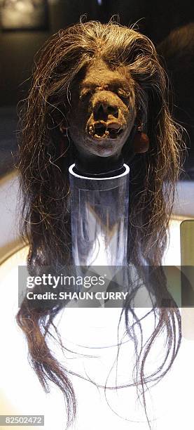 An Ecuadorian shrunken human head from the Peruvian jungle in south America is displayed at the 'Ripley's Believe It or Not' museum, in central...