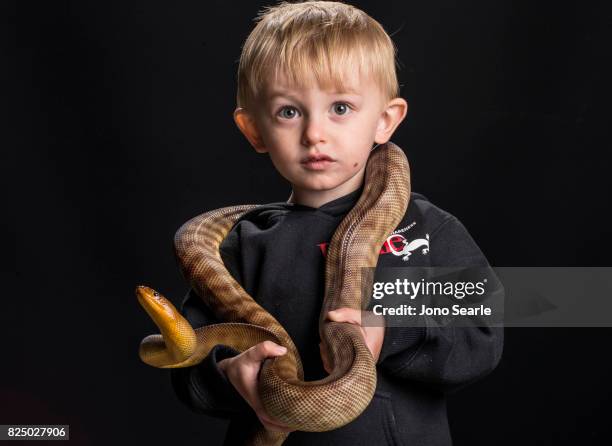 Boy Python 296 Python Boy Stock Photos, High-Res Pictures, and Images - Getty Images