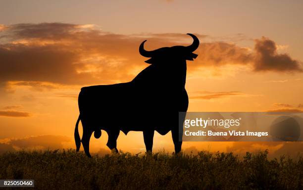 malaga province, andalusia. silhouette of a bull shaped billboard against an orange sunset sky. - bull billboard spain stock pictures, royalty-free photos & images