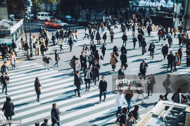 busy commuters crossing street during office rush hours in shibuya crossroad, tokyo - the weinstein company host a private screening of august osage county stockfoto's en -beelden