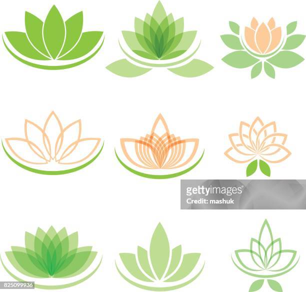 lotus and yoga - lotus flower studio stock illustrations