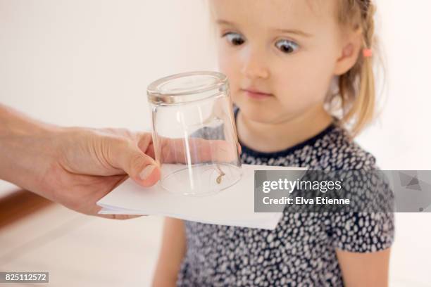 child looking in horror, at spider caught in drinking glass - fobia imagens e fotografias de stock