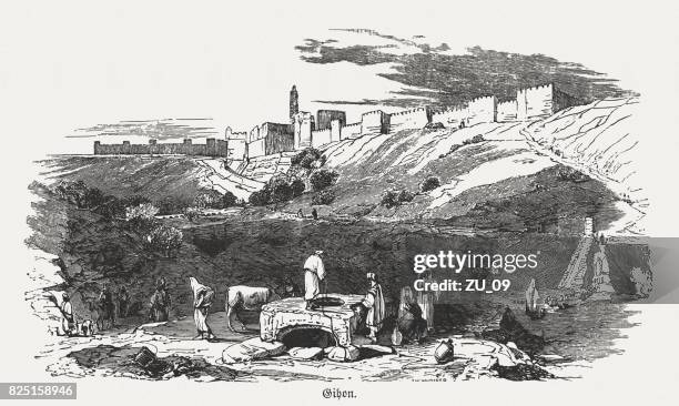 gihon spring, kidron valley, jerusalem, israel, wood engraving, published 1886 - spring water stock illustrations